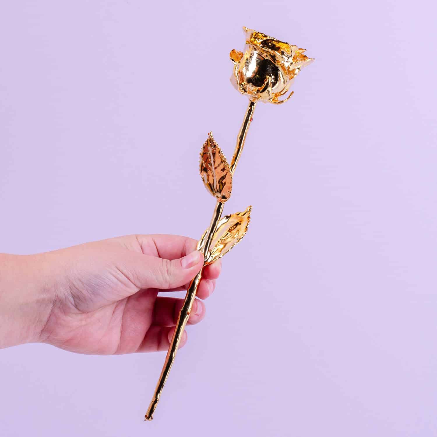 24 karaat gouden roos