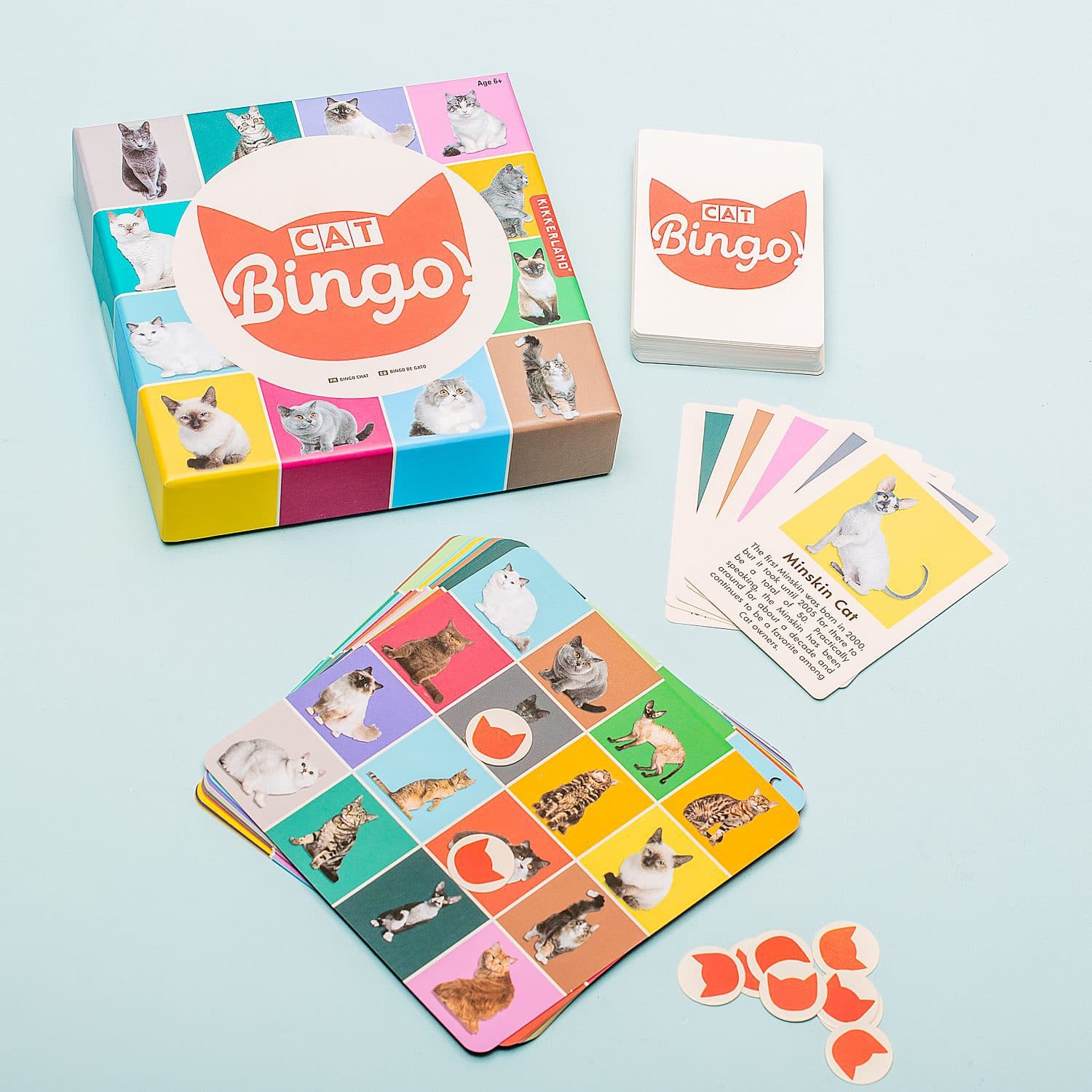 Huisdier bingo - Kat