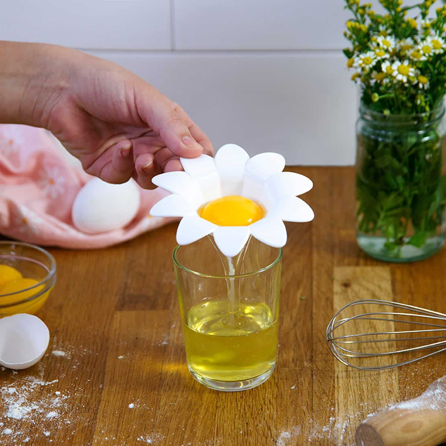 Daisy eischeider