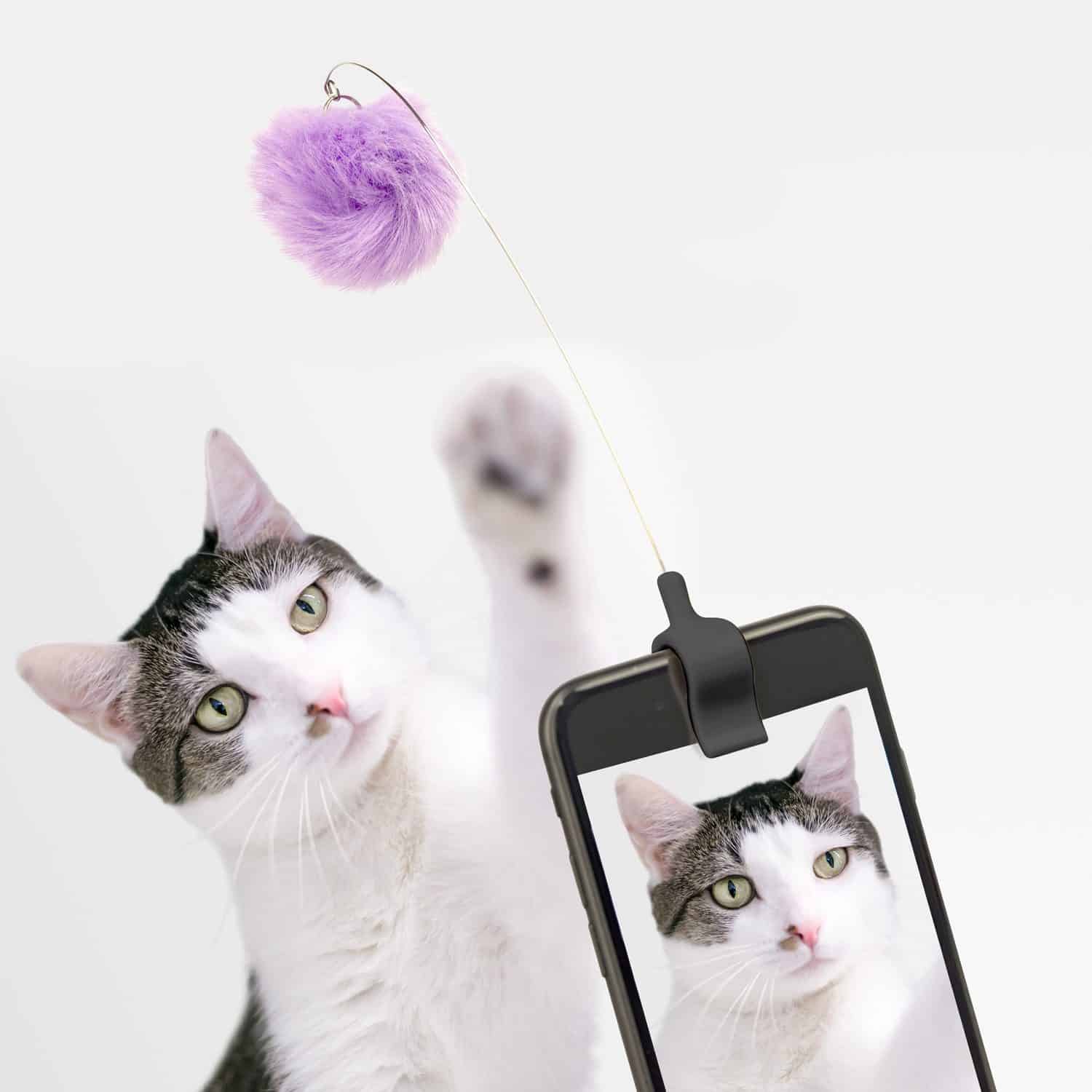 Kitty phone clip