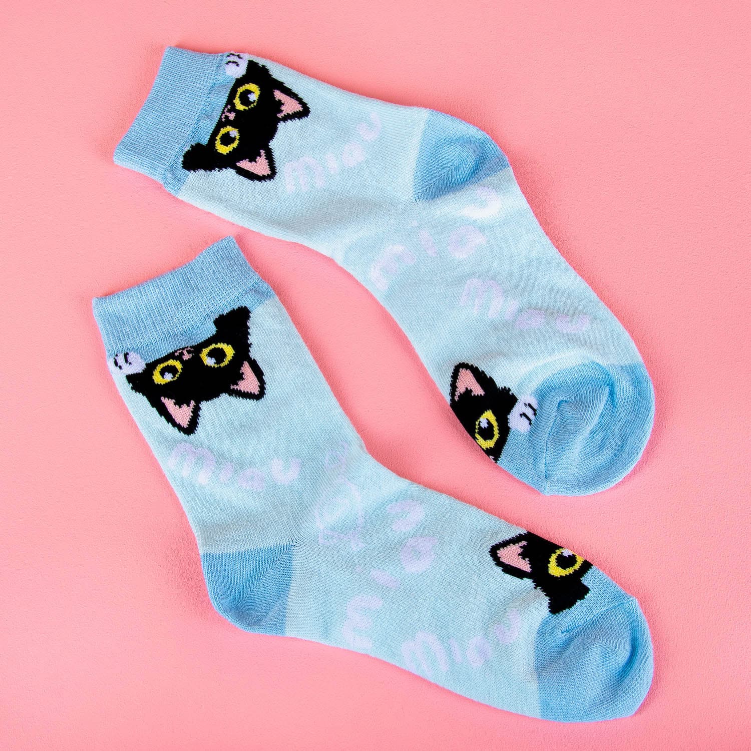 Socks, Cat