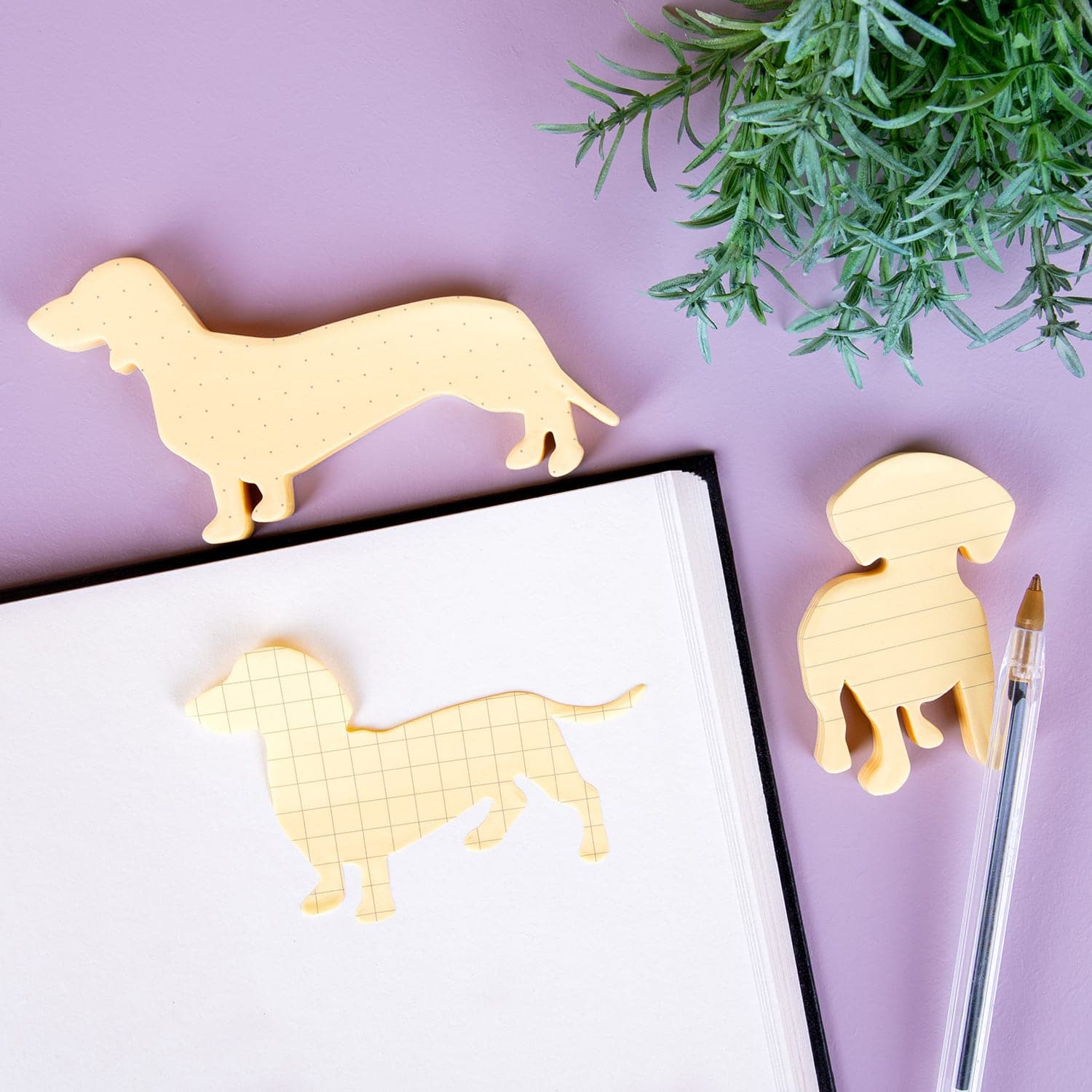 Huisdier sticky notes (set van 3) - inhoud