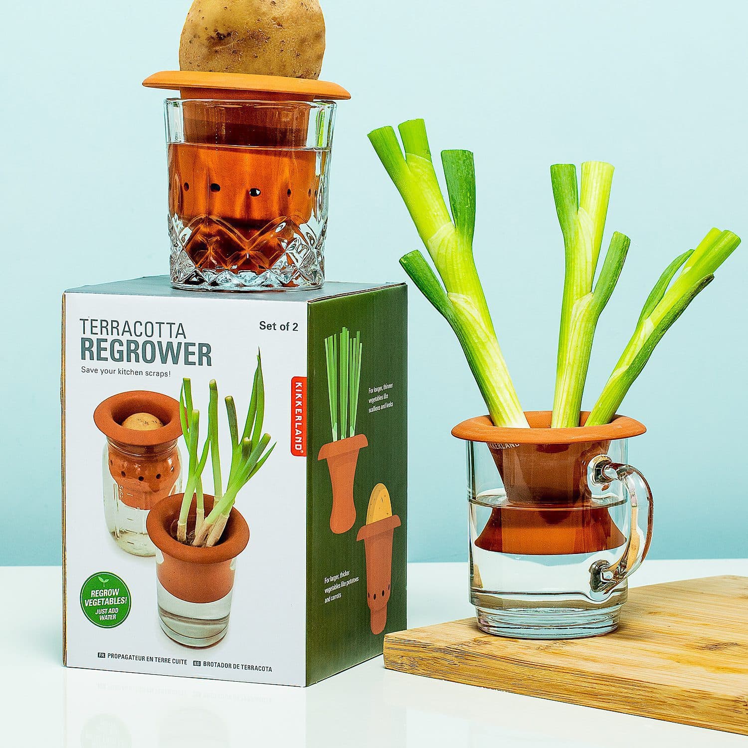 Terracotta regrower voor groenten (set van 2)