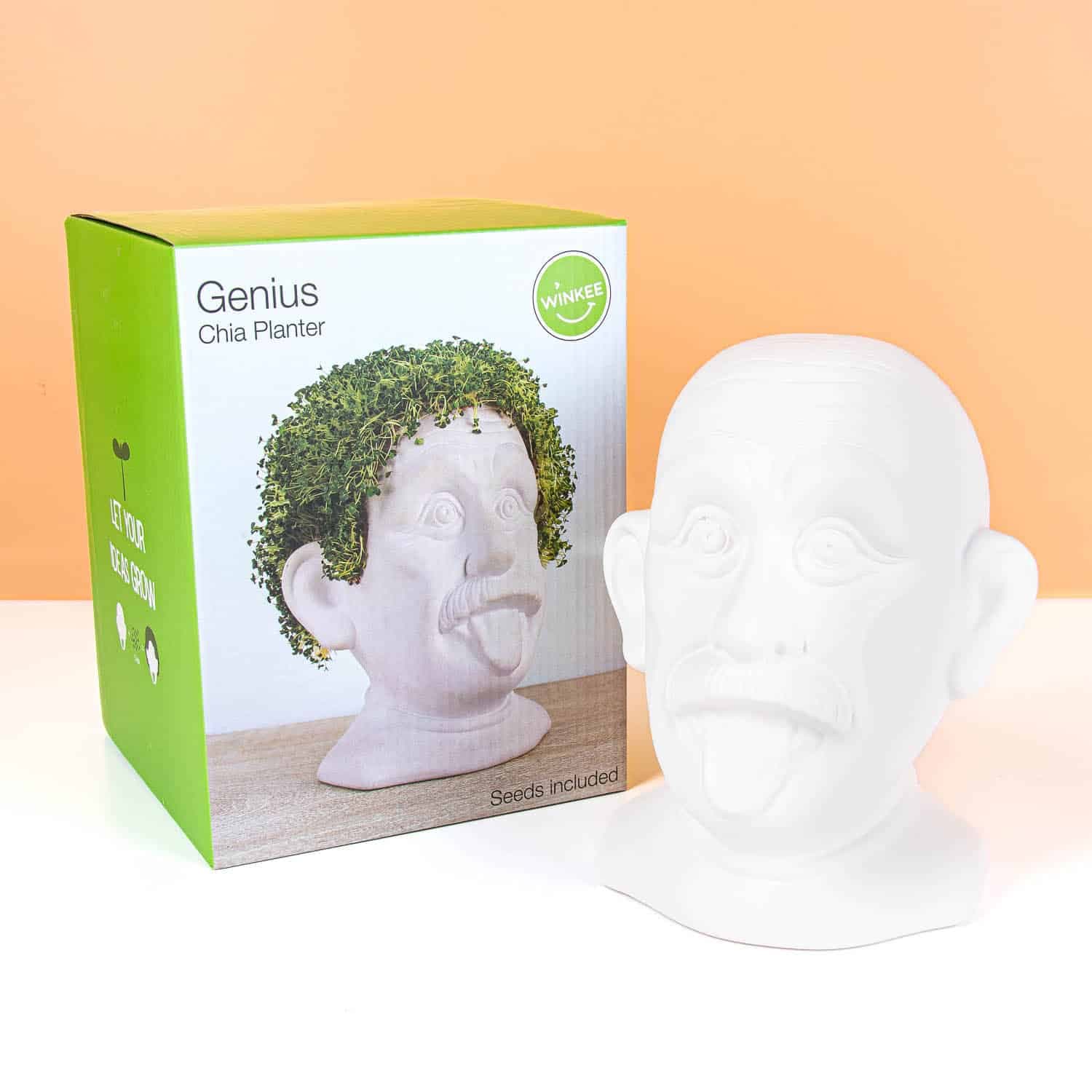 Einstein bloempot met zaadjes