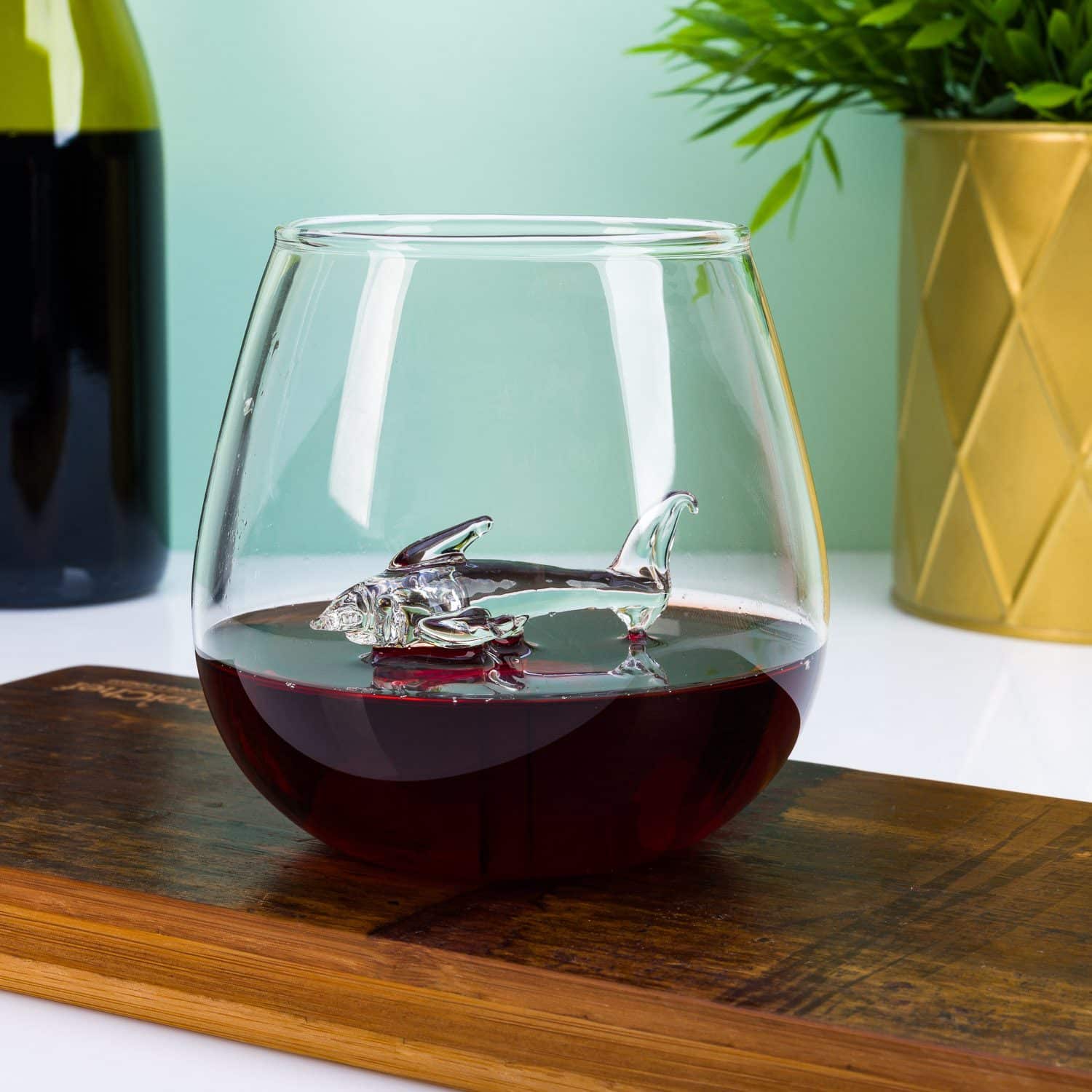 Haai glas