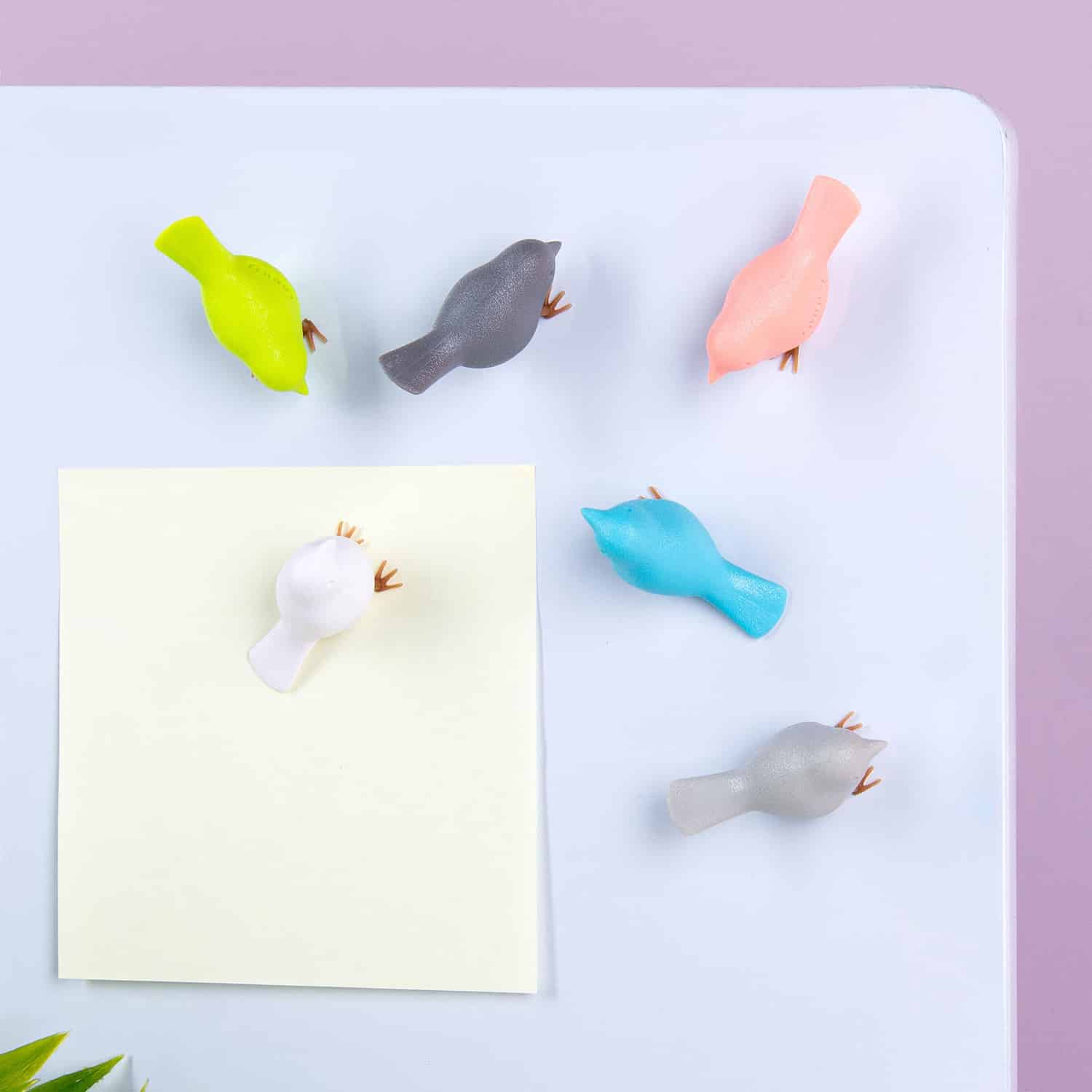 Mus magneetjes (set van 6) - Pastel