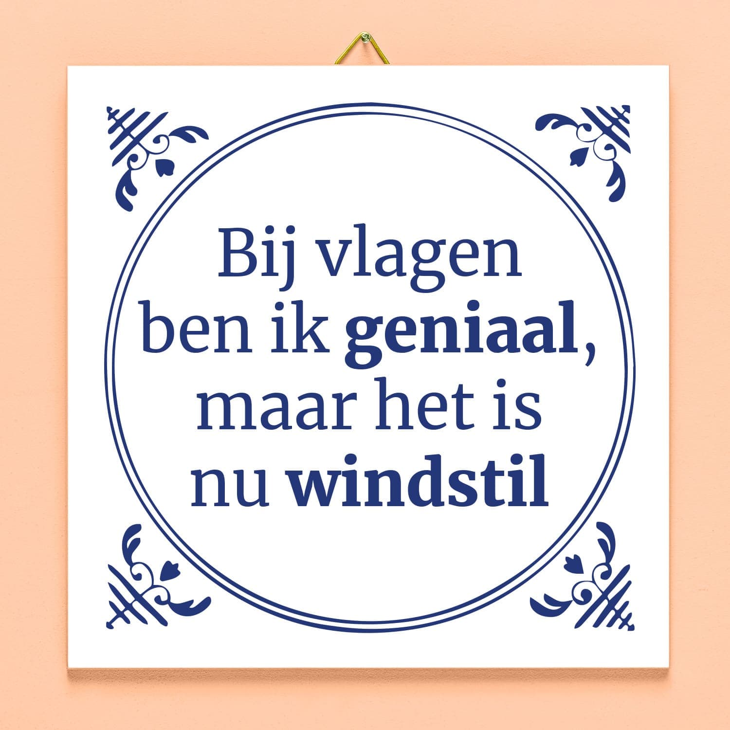 Tegeltje Bij vlagen ben ik geniaal