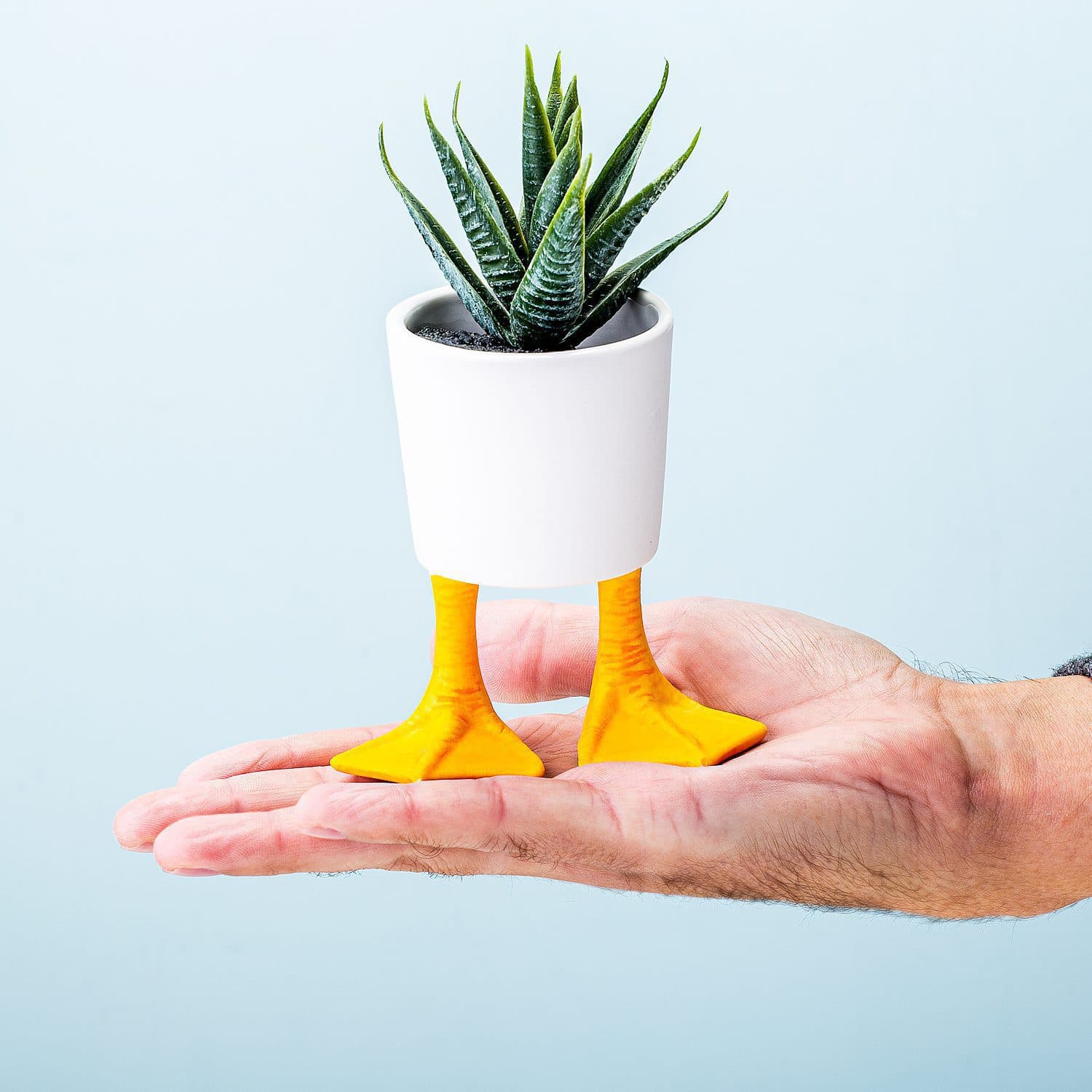 Bloempot met eendenpoten - Klein