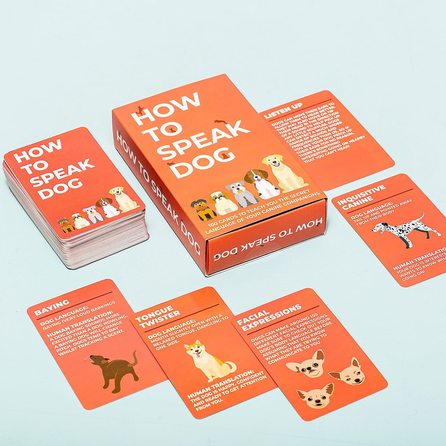 How to speak kaarten - Hond