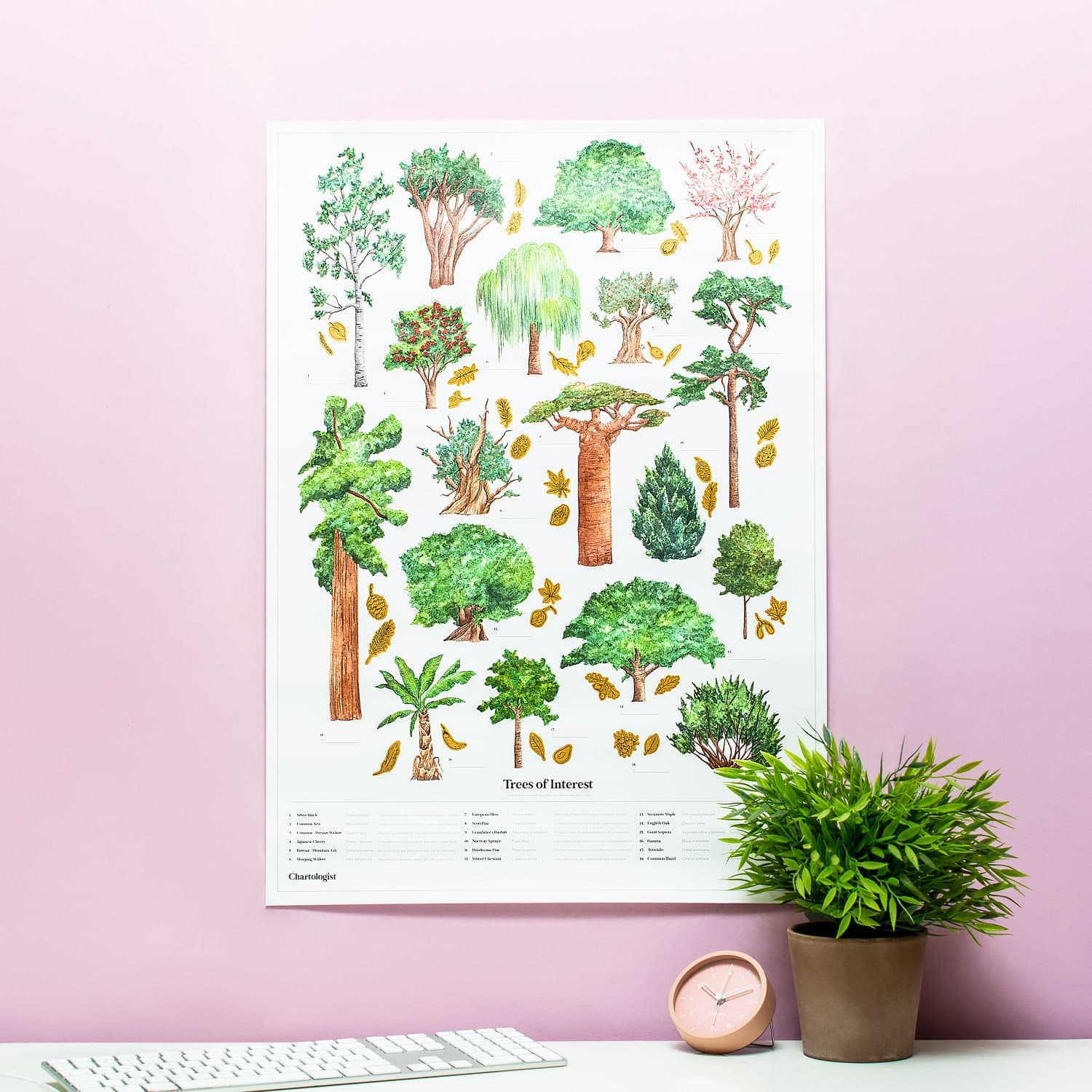 The Chartologist poster - Bomen