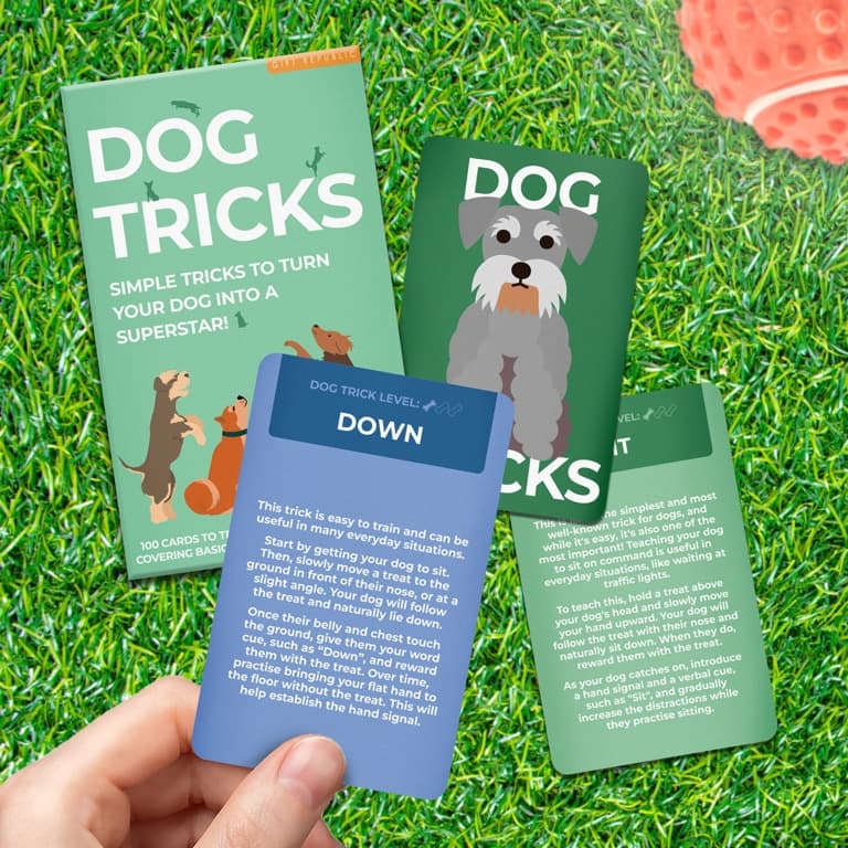 Dog Tricks kaarten