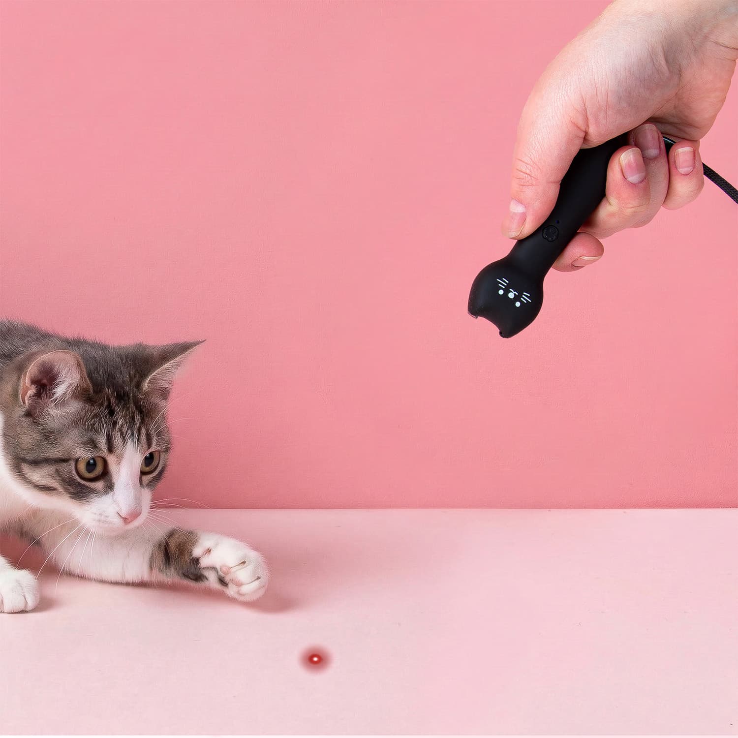 Kiko kattenlaser