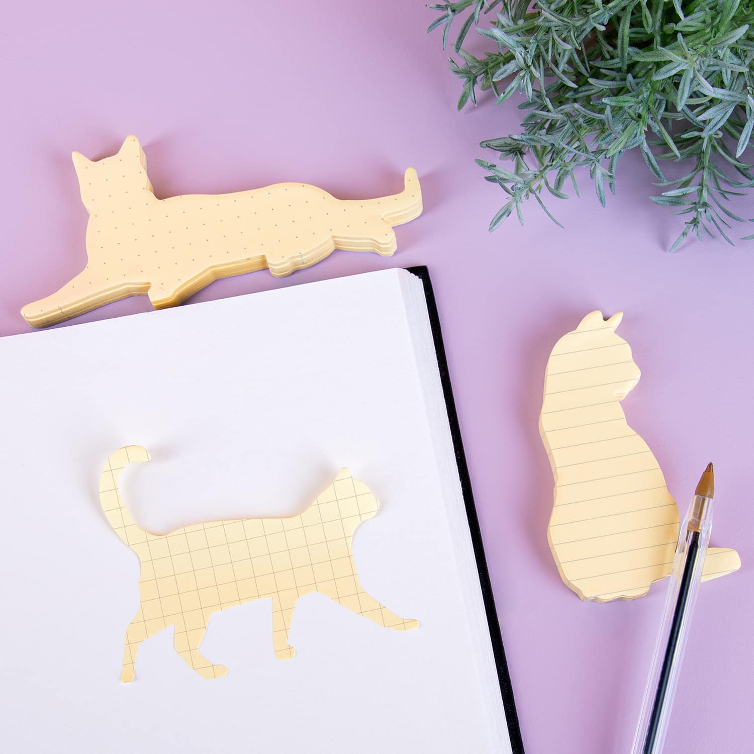 Huisdier sticky notes (set van 3) – Kat