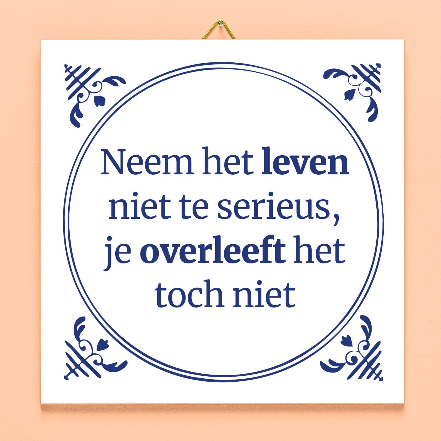 Tegeltje Neem het leven niet te serieus