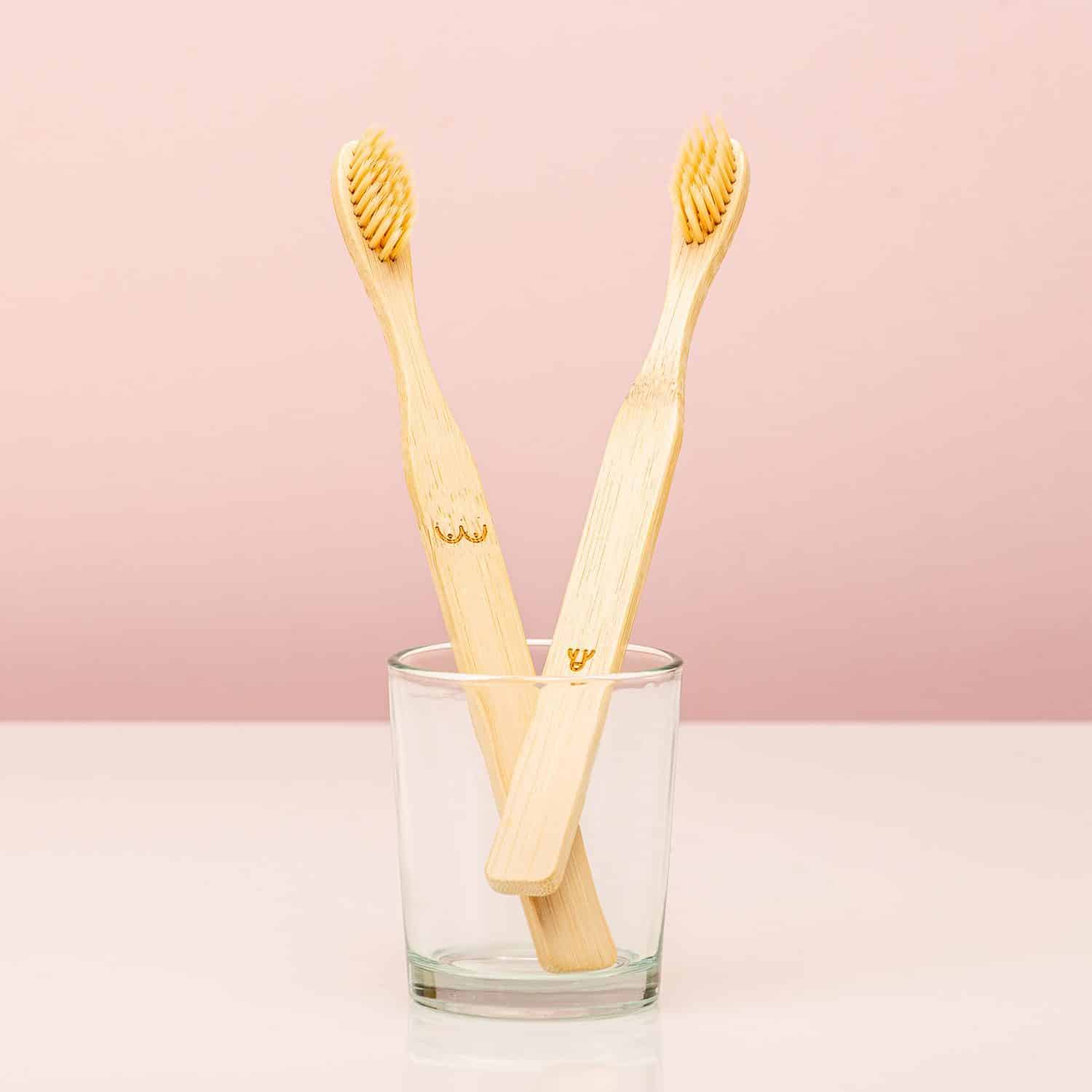Bamboe Tandenborstels (Set Van 2) – Nudie