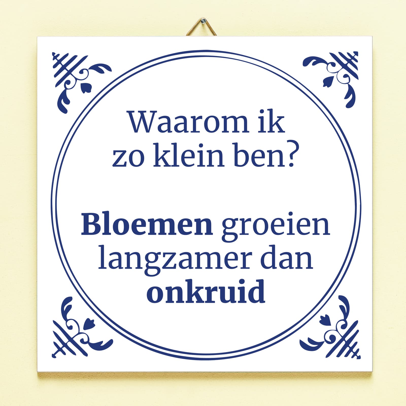 Tegeltje Waarom ik zo klein ben