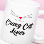 Gepersonaliseerde Mok Crazy Cat Lover