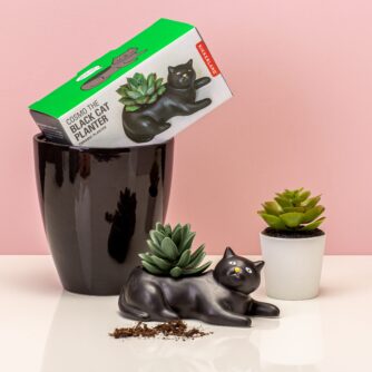 huisdier-bloempot-zwarte-kat-1.jpg