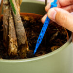 Infuuszak bewateringssysteem voor planten