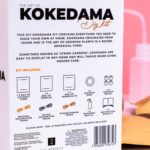 DIY Kokedama set