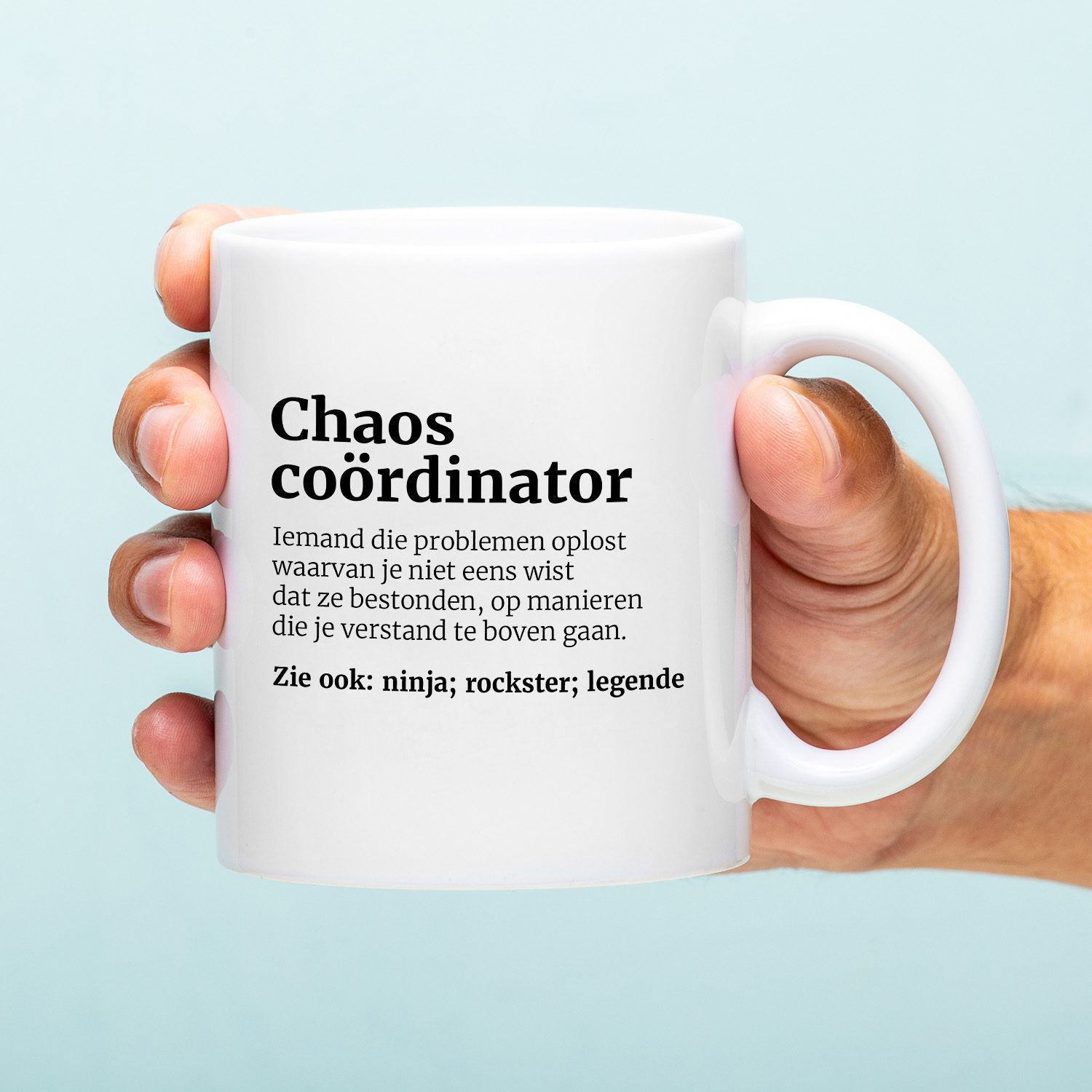 148653 Chaos Coördinator 1 (1)