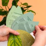Gezonde planten handboek