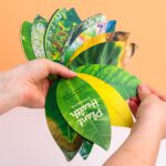 Gezonde planten handboek