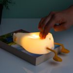 Slapend eendje nachtlampje