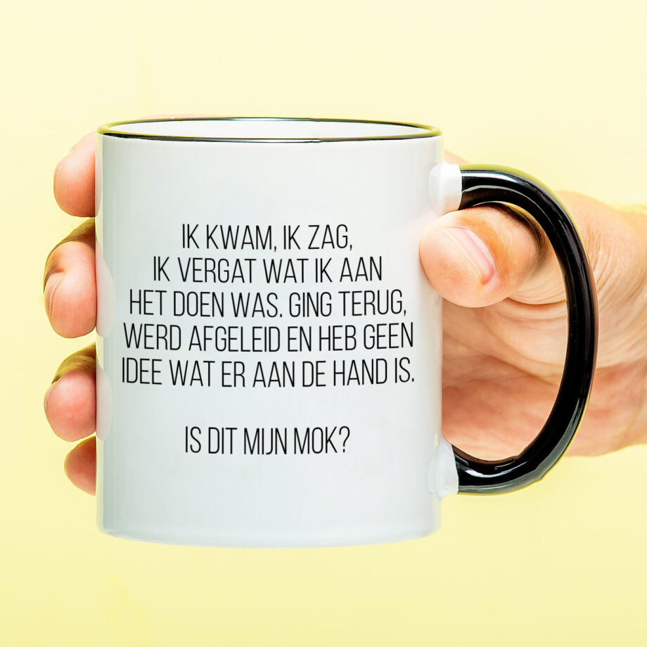 Mok Ik kwam, ik zag, ik vergat