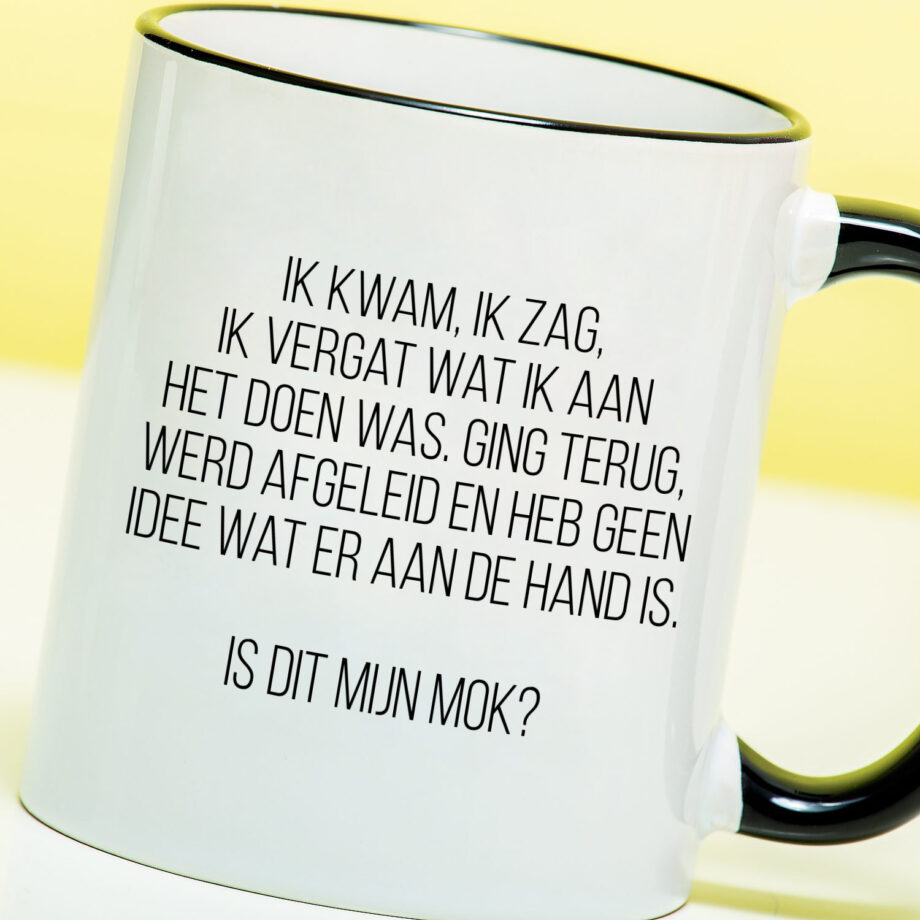 Mok Ik kwam, ik zag, ik vergat