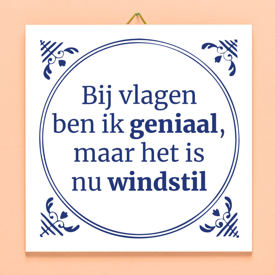 Tegeltje Bij vlagen ben ik geniaal